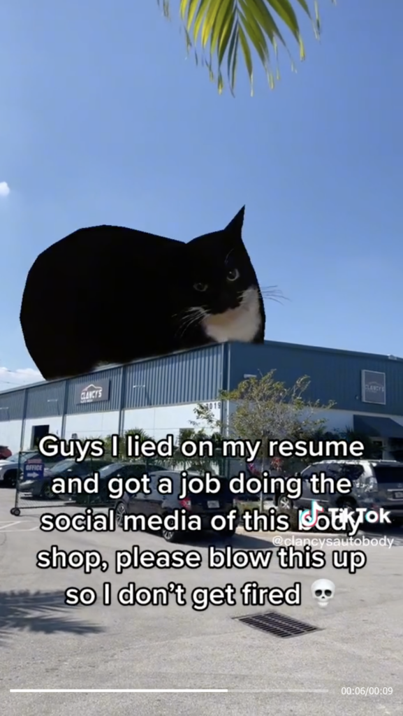 Screenshot of Clancys Auto Body TikTok example; picture of autobody shop with Maxwell the cat on the roof