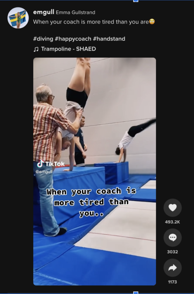 Screenshot of a tiktok video.